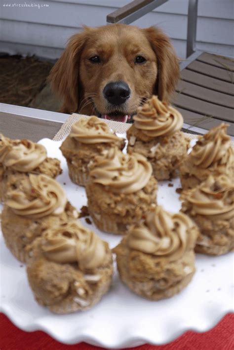 Apple Pupcakes with Peanut Butter Frosting | Recipe | Peanut butter ...