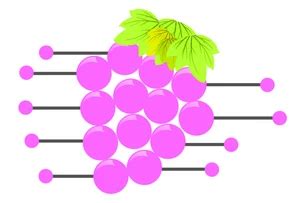 12,000+ Grape Wall Chart PNG Images | Free Grape Wall Chart Transparent PNG,Vector and PSD ...