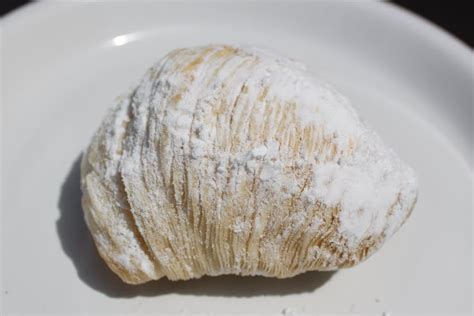 Sfogliatelle Italian Dessert | What's Cookin' Italian Style Cuisine