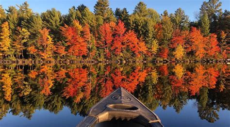 Best places to see beautiful fall foliage in Ontario over the long ...