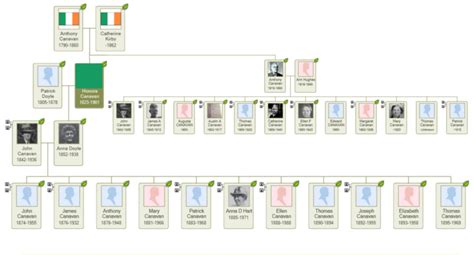 Hart Family Tree - William J. Bowe