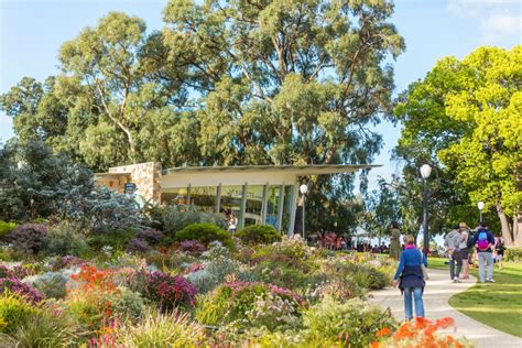 All hail the King: It’s wildflower time in Perth’s amazing Kings Park - Starts at 60