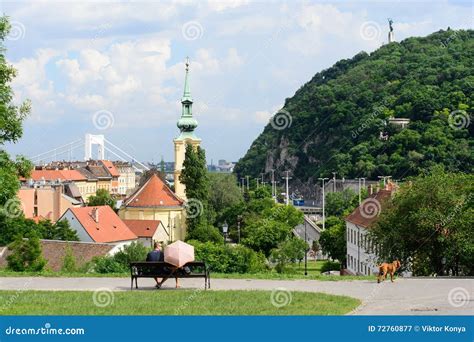 Budapest Landscape from the Castle Garden Editorial Photography - Image ...