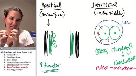 Bone + Cartilage 6- Growth - YouTube