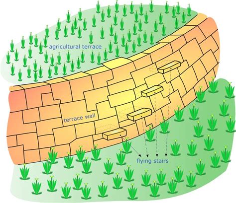 Diagram showing Inca terrace engineering for agriculture. | Inca, Inca ...