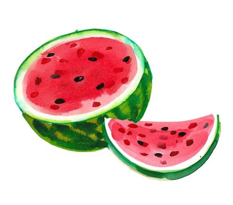 Premium Photo | Watermelon half. ink and watercolor drawing