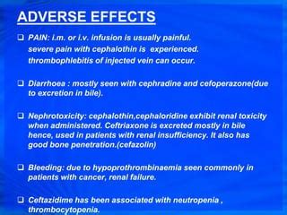 CEPHALOSPORINS | PPT