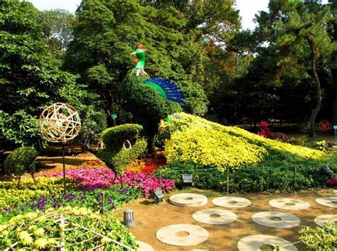 Hangzhou Botanical Garden - 2021 All You Need to Know BEFORE You Go (with Photos) - Tripadvisor