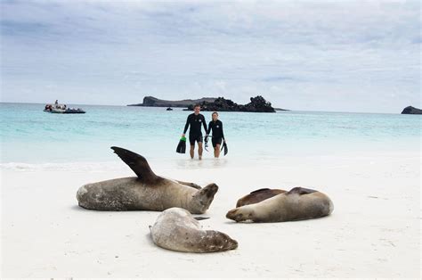 10 Best Beaches in the Galapagos | Celebrity Cruises