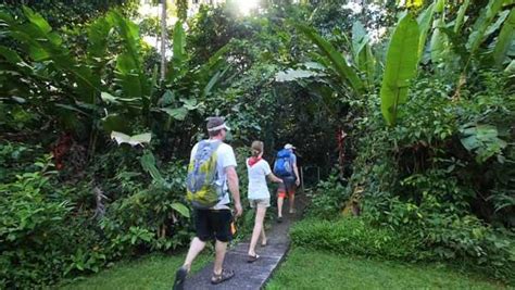 Hiking Jungles of Tortuguero National Park | Motion | The Live Well Network