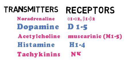 What are Neurotransmitters and their receptors? - YouTube