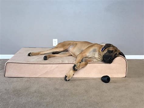 The Best Dog Beds for Hip Dysplasia (2021) | Bully Beds