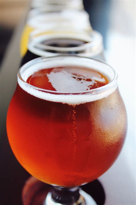 10 Popular Beers and What to Eat With Them - Saratoga Springs Beer ...