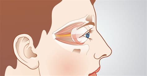 Operation on the eye socket – advanced sinus cavity operation Rhino-Oto ...