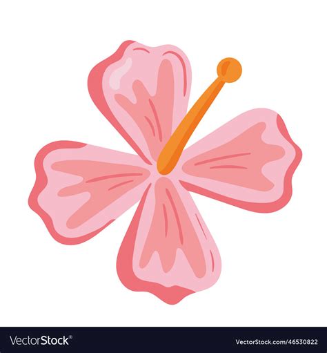 Flower hibiscus nature Royalty Free Vector Image