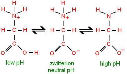 Zwitterion - Alchetron, The Free Social Encyclopedia