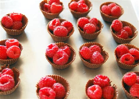 Decadent Chocolate Raspberry Cups Recipe {3 Ingredients} - The Frugal Girls