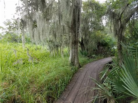 Barataria Preserve of Jean Lafitte National Historical Park & Preserve