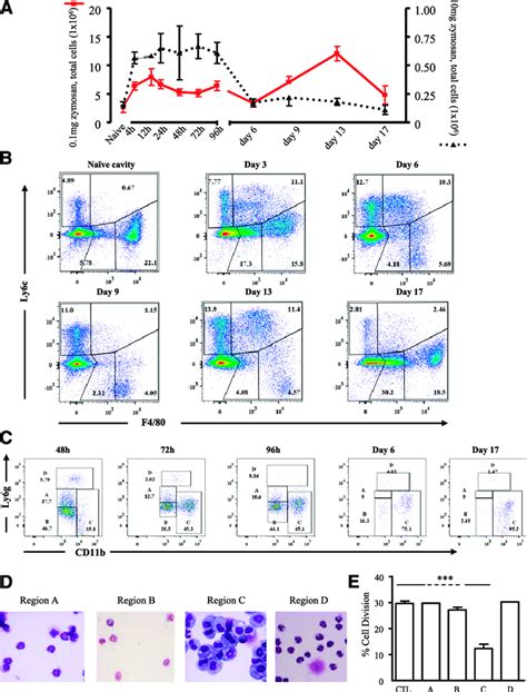 Inflammation in response to low-vs highdose zymosan in the mouse... | Download Scientific Diagram