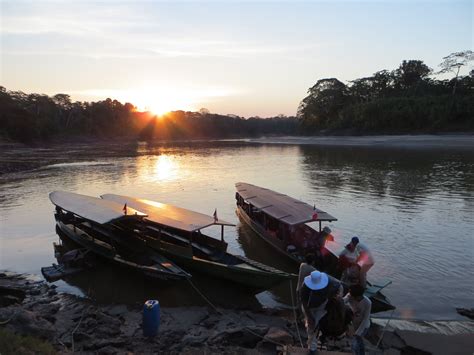 Amazon Jungle, Peru | Adventure, Peru, Jungle