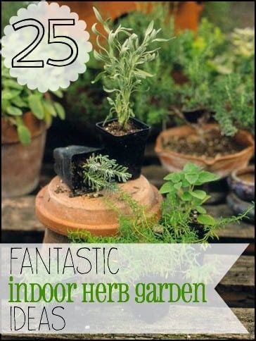 25 Fantastic Indoor Herb Garden Ideas - Tipsaholic