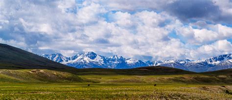 Visit Deosai National Park, Pakistan: A Complete Guide | Zameen Blog