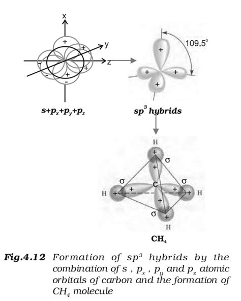 Sp3 hybridization