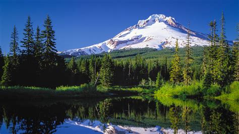 Mt Hood Scenic Loop, Hood River County Tour Route Road Trip