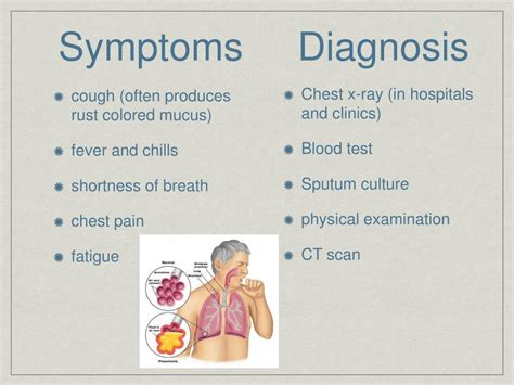 PPT - Streptococcus pneumoniae PowerPoint Presentation, free download - ID:6601980