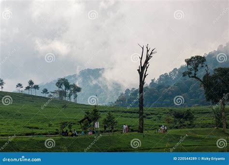 Telaga Saat Puncak Cisarua Bogor Indonesia Stock Image - Image of saat, green: 220544289