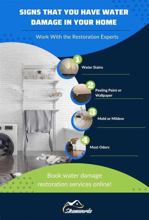 4 Signs That You Have Water Damage in Your Home - Steamworks Cleaning ...