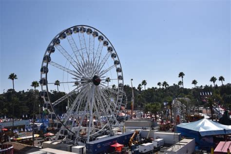 County Fair Ferris Wheel Free Stock Photo - Public Domain Pictures