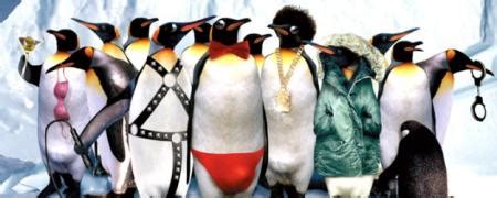 Farce of the Penguins | DVD Review - IONCINEMA.com