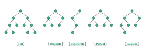 Different Types of Binary Tree with colourful illustrations | Binary tree, Binary, Binary heap