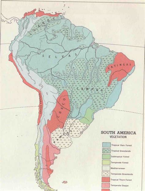 Online Maps: South America Vegetation