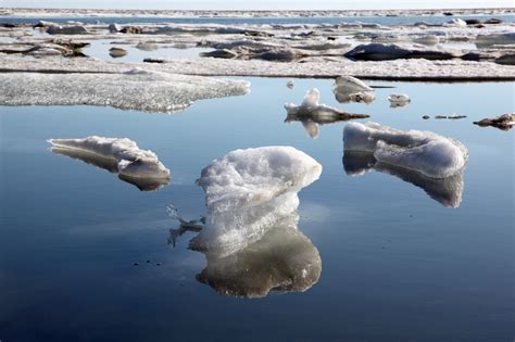 The Arctic is turning brown due to extreme weather and melting - Earth.com