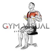 Resistance Band Seated Chest Press