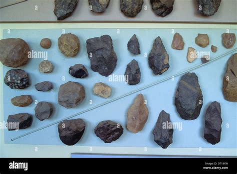 Tanzania, Olduvai Gorge, Museum, Artifacts Stock Photo - Alamy