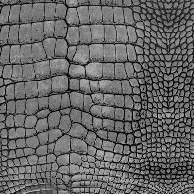 Crocodile Scales Fabric, Wallpaper and Home Decor | Spoonflower