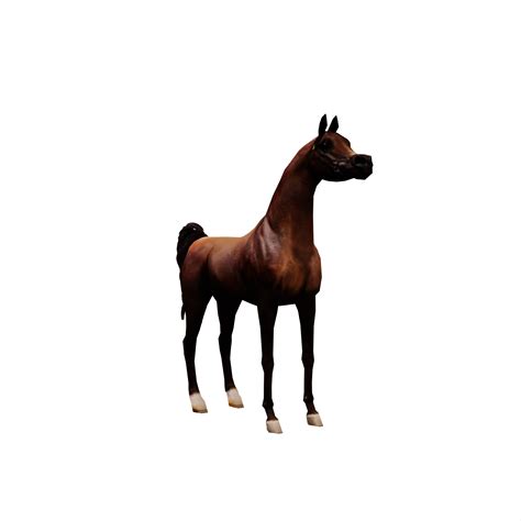 3d Arabian Horse 18813967 PNG