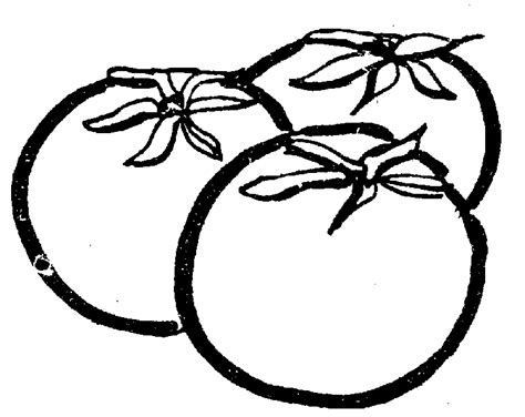 Free Tomato Clipart Black And White, Download Free Tomato Clipart Black ...