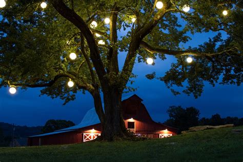 Best 15+ of Outdoor Hanging Tree Lanterns