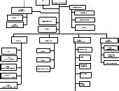 KRA ORG CHART | Editable Organizational Chart Template on Creately