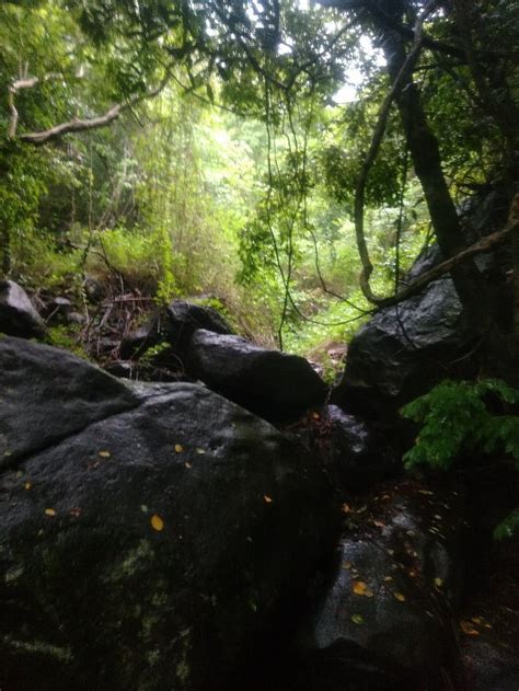 Mount Arayat National Park - All You Need to Know BEFORE You Go (2024)