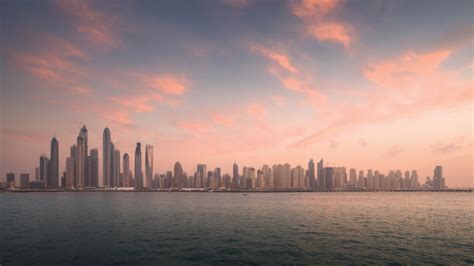 Night Skyline in Dubai, United Arab Emirates, UAE image - Free stock photo - Public Domain photo ...