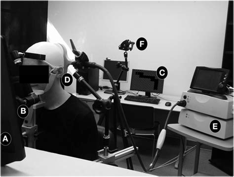 Frontiers | Navigating a 2D Virtual World Using Direct Brain Stimulation