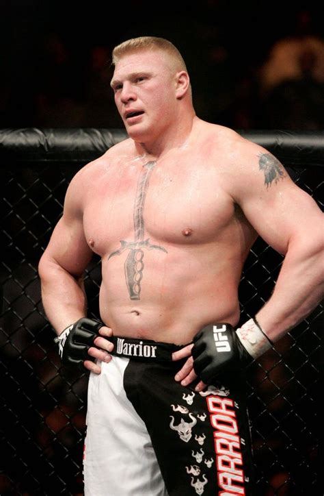 WWE WRESTLING CHAMPIONS: Brock Lesnar ufc Champion