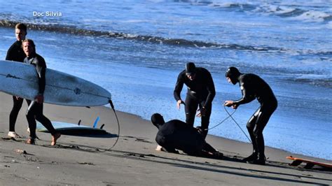 Surfer 'still in disbelief' after surviving great white shark attack ...