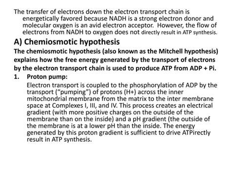 Chemiosmotic theory | PPT