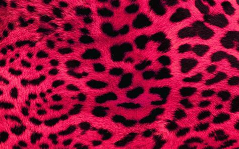 Leopard Pattern Wallpapers - Top Free Leopard Pattern Backgrounds - WallpaperAccess